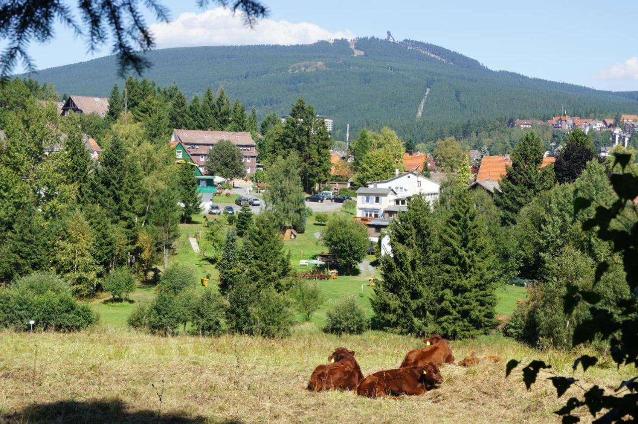 Villa Am Paulsberg Braunlage Zewnętrze zdjęcie